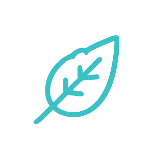 leaf icon