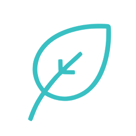 extra feature icon